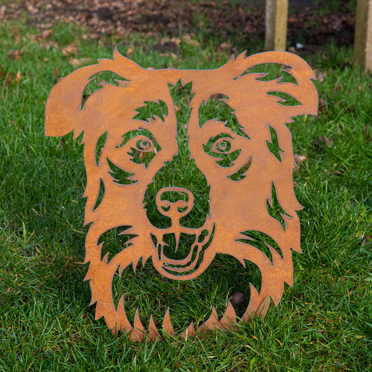 Border Collie Dog - Rustic Rusted Pet Garden Sculpture - Solid Steel