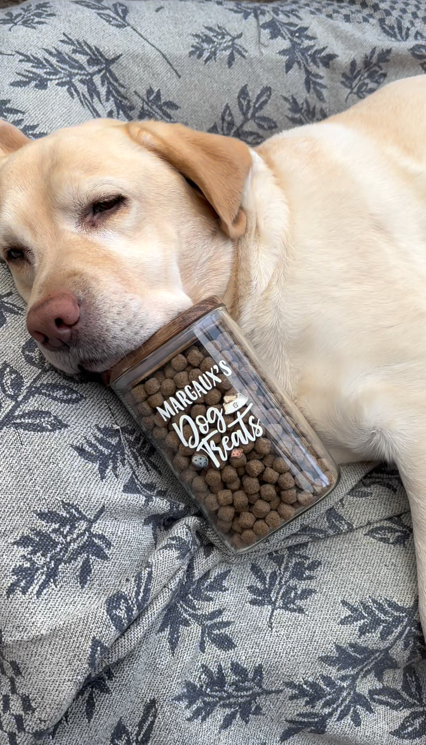 Printed Dog Treat Jar