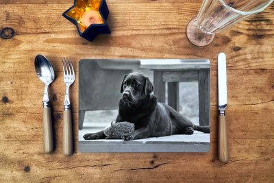 Melting Eyes Labradorable Placemat