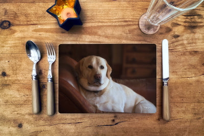 Miss July Labradorable Placemat