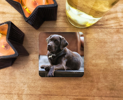 Mr August Labradorable Coaster