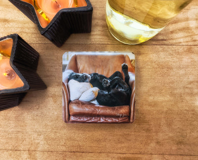 Siesta Labradorable Coaster