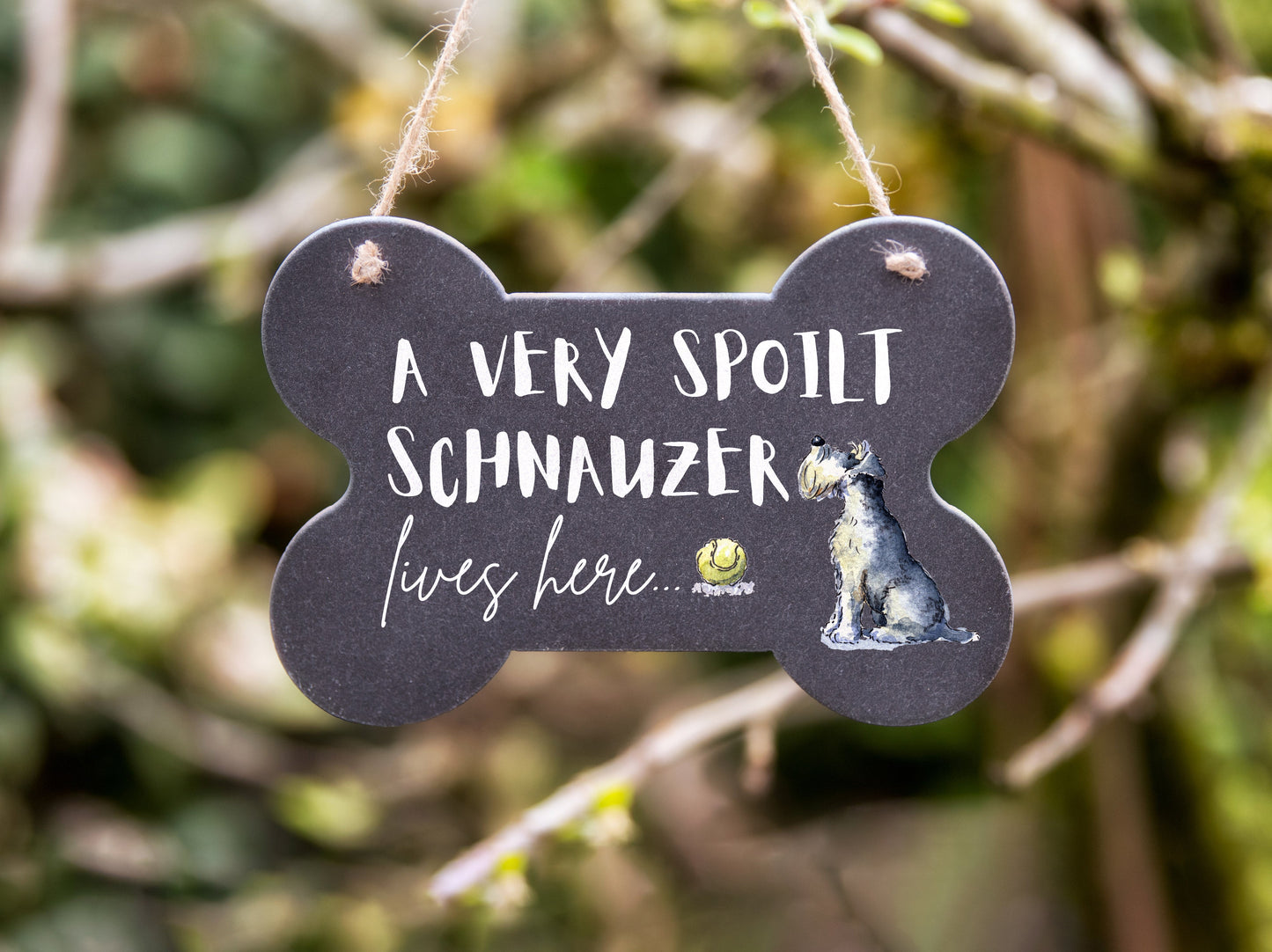 Spoilt Schnauzer Bone Slate Sign