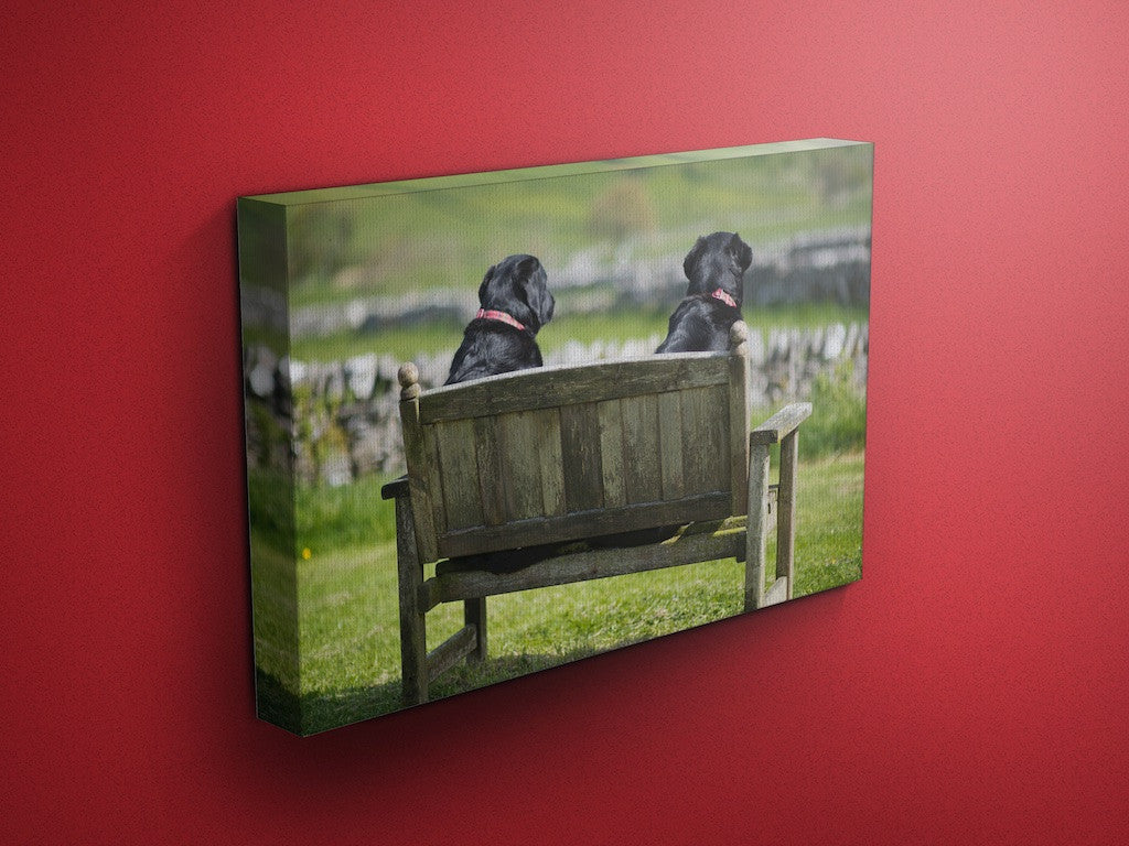 Two Fat Ladies Labrador Canvas